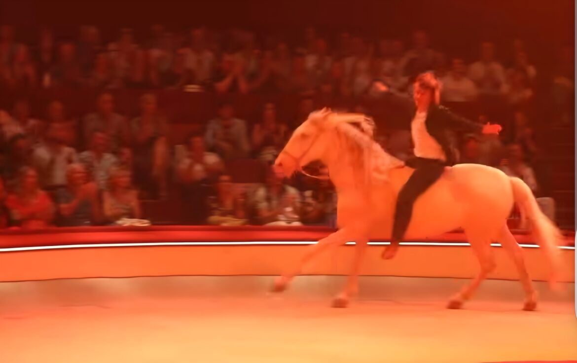 Alex Lutz se produit au Cirque d'hiver